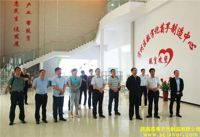 南京市棲霞區黨政代表團考察森弗數字化菊芋制造中心